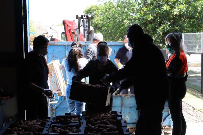 Ganemos Jerez también pide a Mamen Sánchez que destine fondos para ayudar a las familias