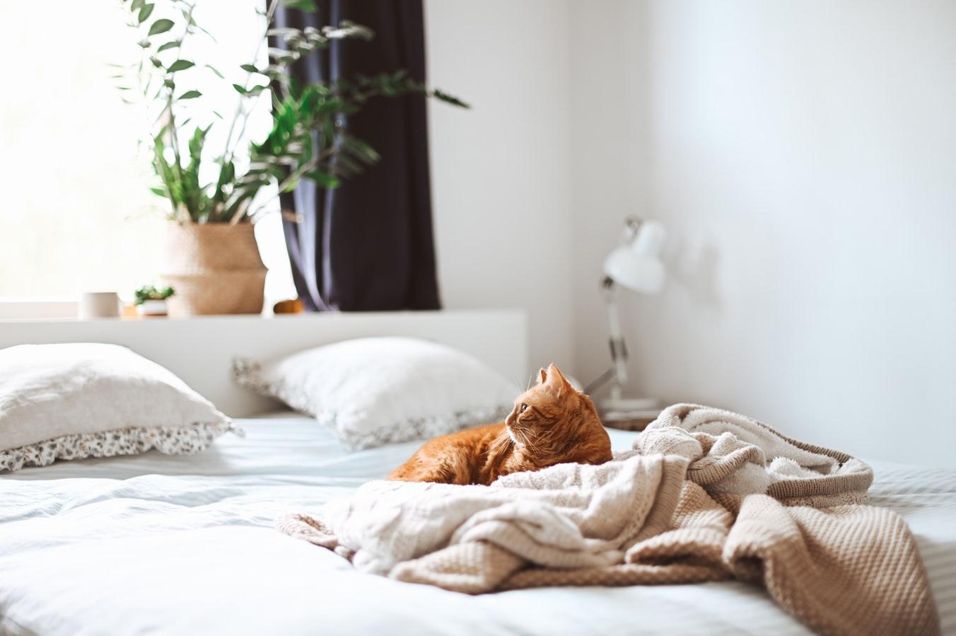 La importancia de tu cama para un buen descanso
