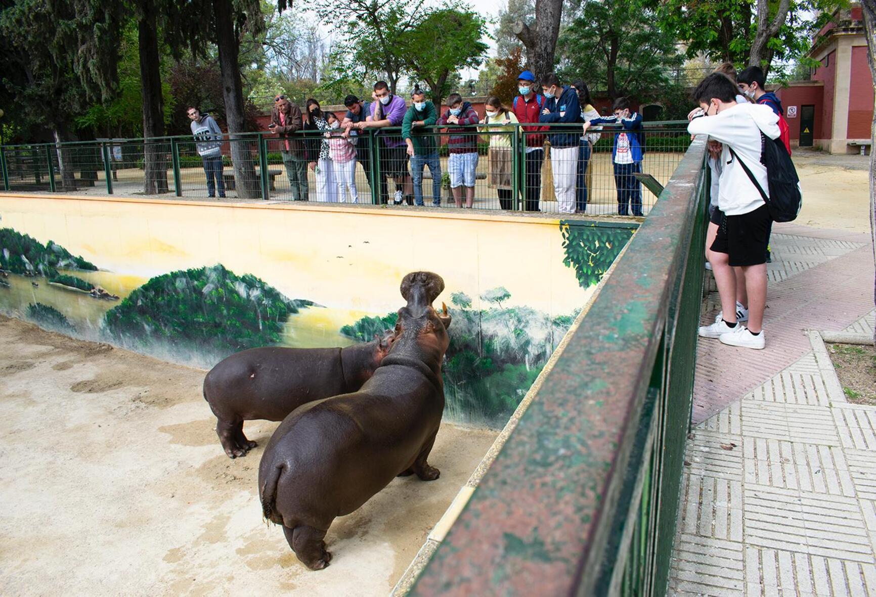 El Zoobotánico de Jerez recibió más de 5.000 visitas en Semana Santa