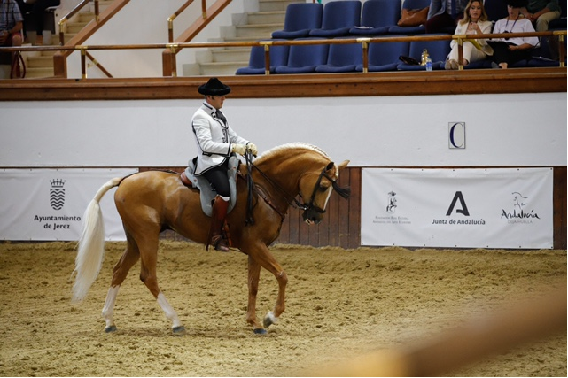 La Real Escuela acoge este fin de semana el Campeonato Intercomunidades de Alta Escuela Española 'Andalucía deja Huella'