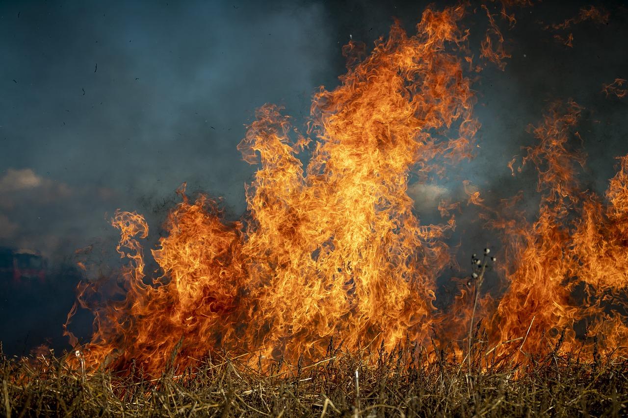 El PP ve prioritario elaborar y aprobar el Plan Local contra Incendios en Jerez de cara al verano