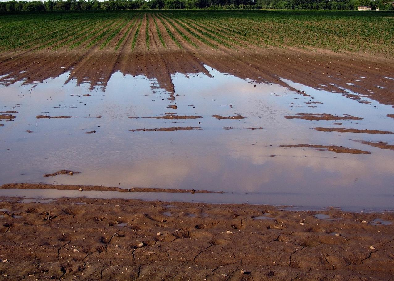 Abierto el plazo de ayudas para pymes y autónomos afectados por las borrascas en Andalucía