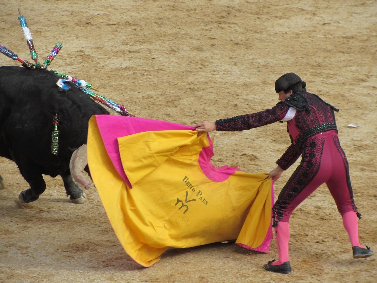 Iniciada la tramitación de la primera Estrategia Andaluza de la Tauromaquia 2030