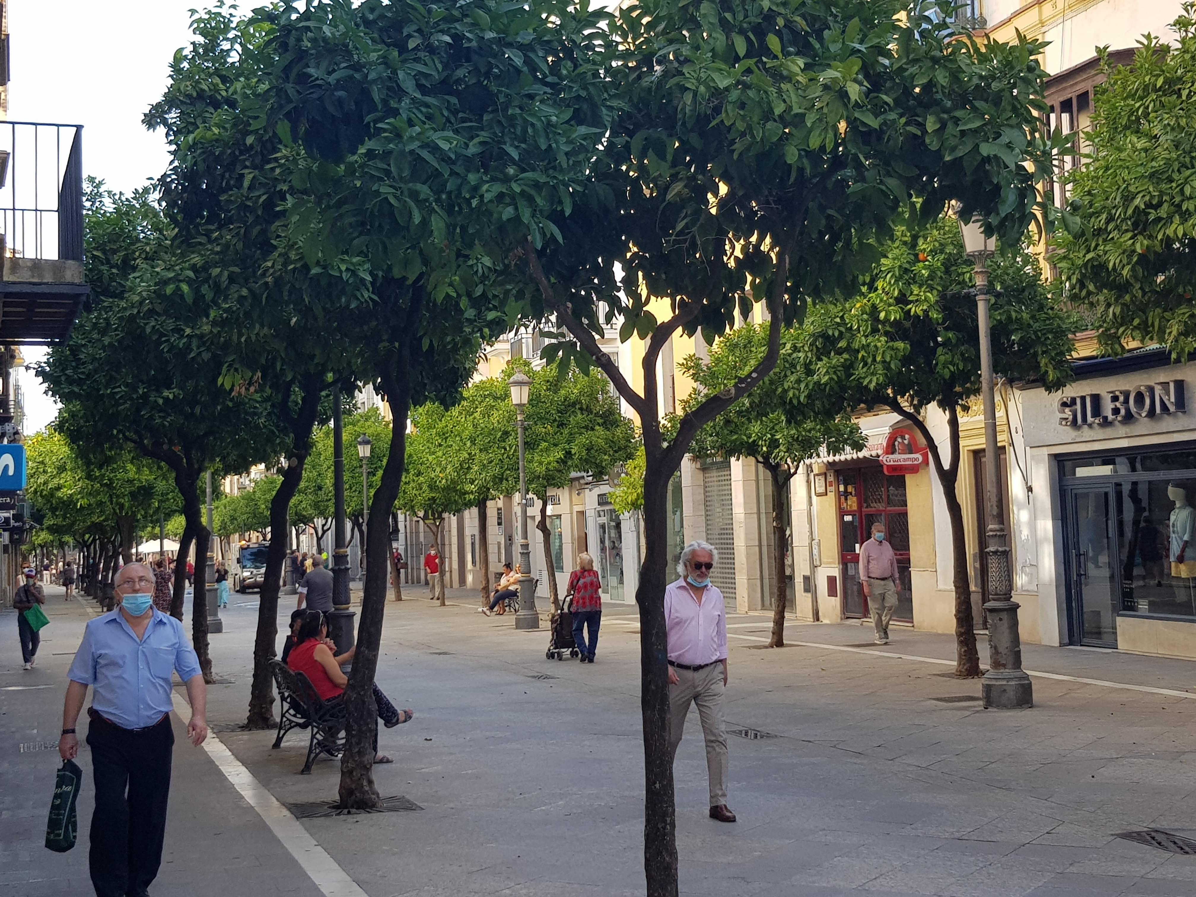 Vox pide un plan de recuperación para el Centro Histórico de Jerez