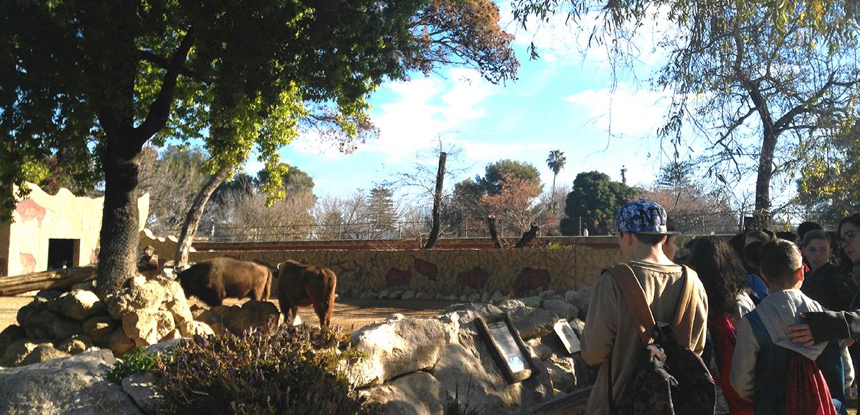 Vuelven los paseos guiados al atardecer al Zoo de Jerez