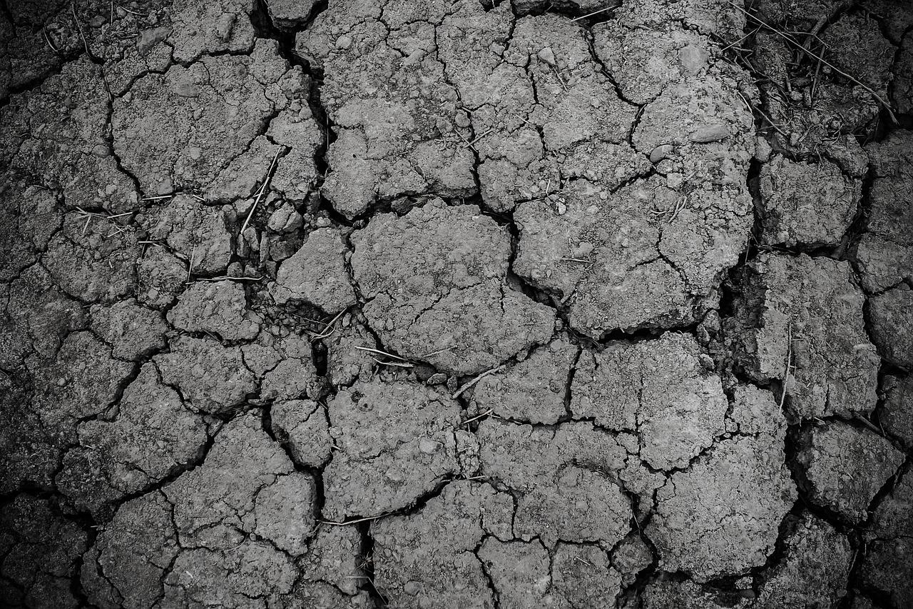 El PP urge a Pedro Sánchez a tomar medidas para el campo ante los problemas que está causando la sequía