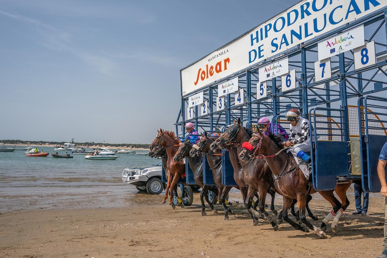 Este miércoles 14 de agosto comienzan las Carreras de Caballos de Sanlúcar 2024