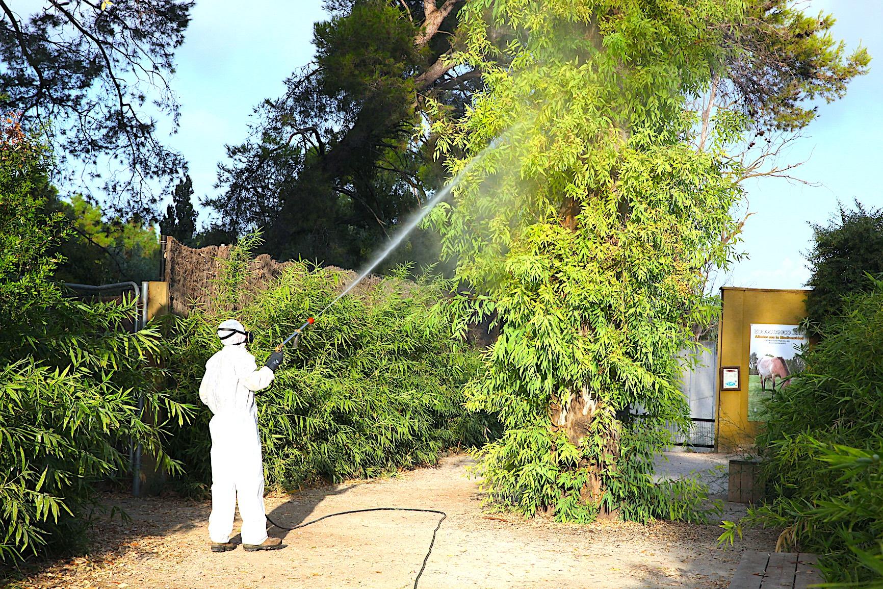 Jerez es declarado municipio en alerta por el virus de la Fiebre del Nilo