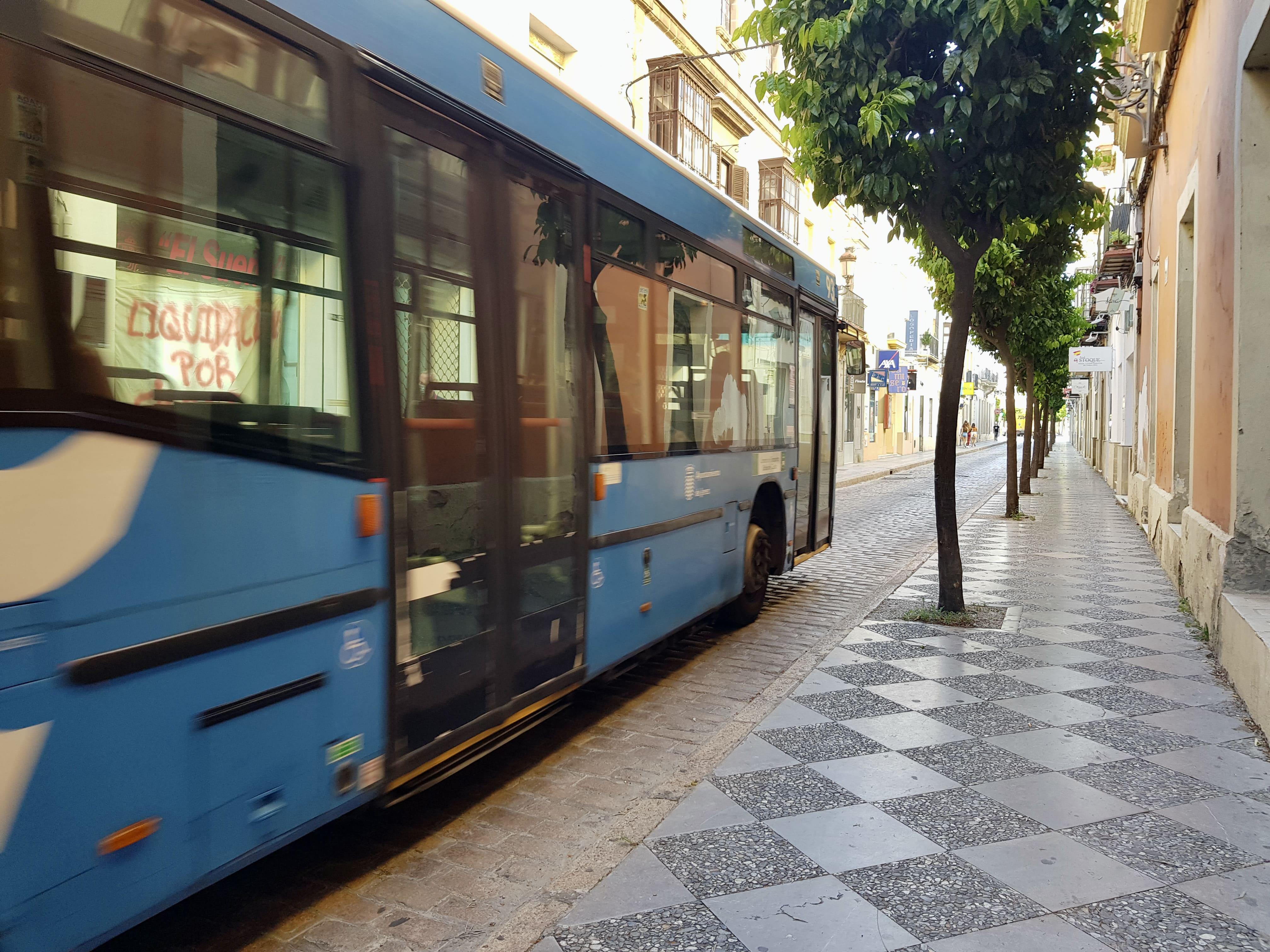 Más cortes en el centro en horario comercial: el Ayuntamiento restringirá al tráfico la calle Honda por poda de árboles