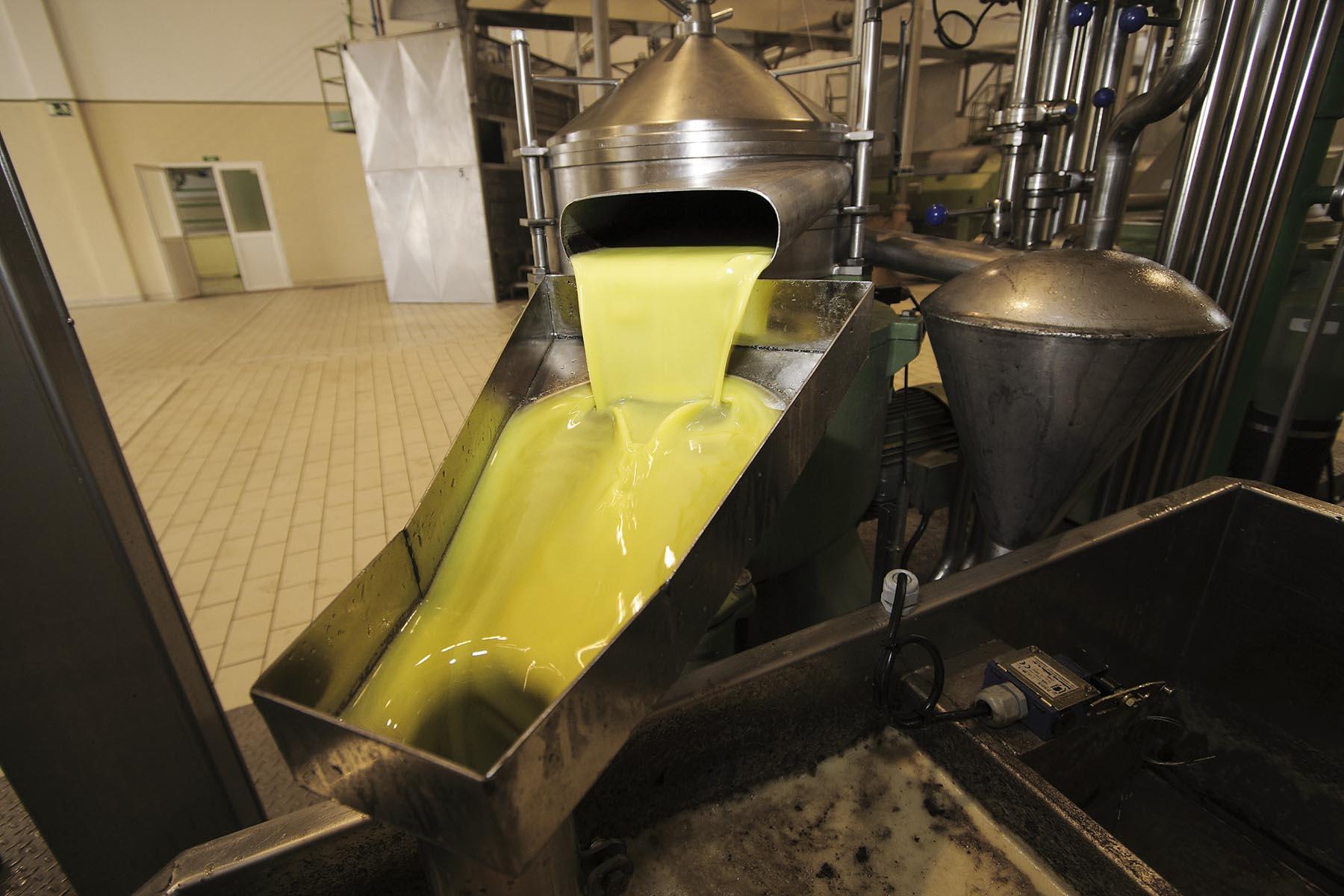El aceite de oliva virgen extra, el producto agroalimentario andaluz que más se exporta