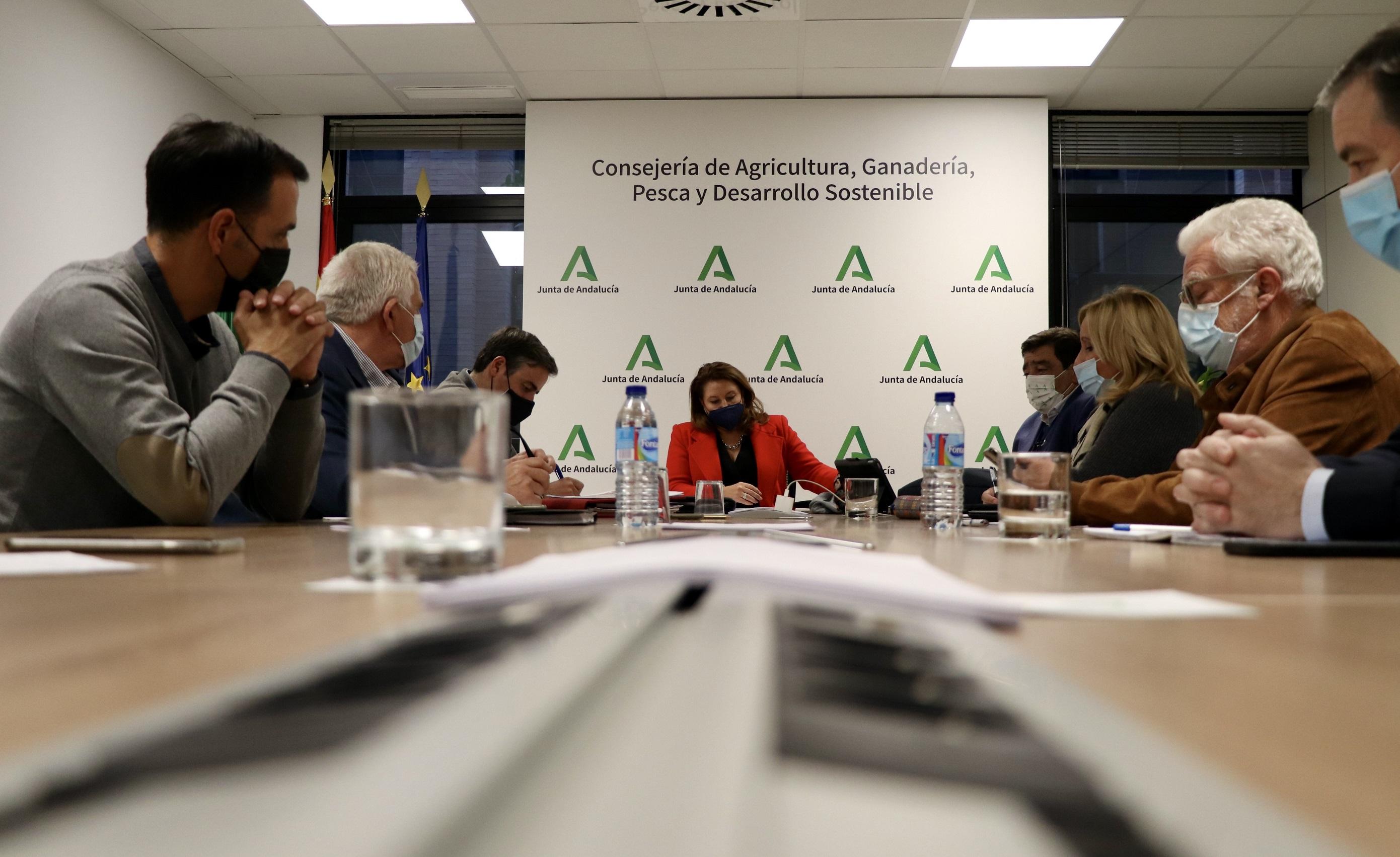 Andalucía presentará alegaciones a la versión inicial del Plan Estratégico Nacional de la PAC