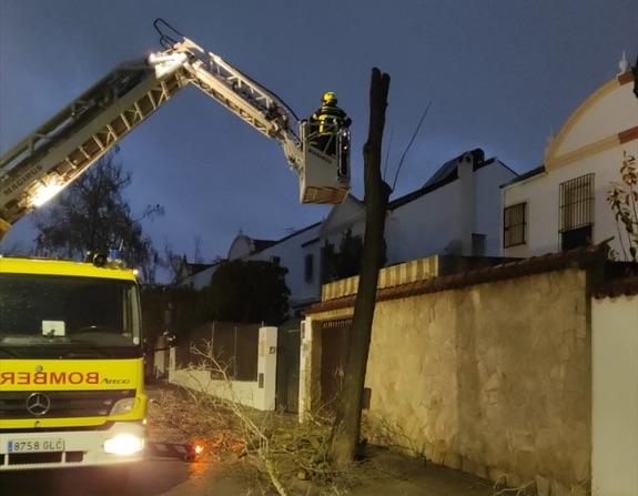 Bomberos realizan más de 40 intervenciones en la noche del martes al miércoles por el temporal de viento en Jerez