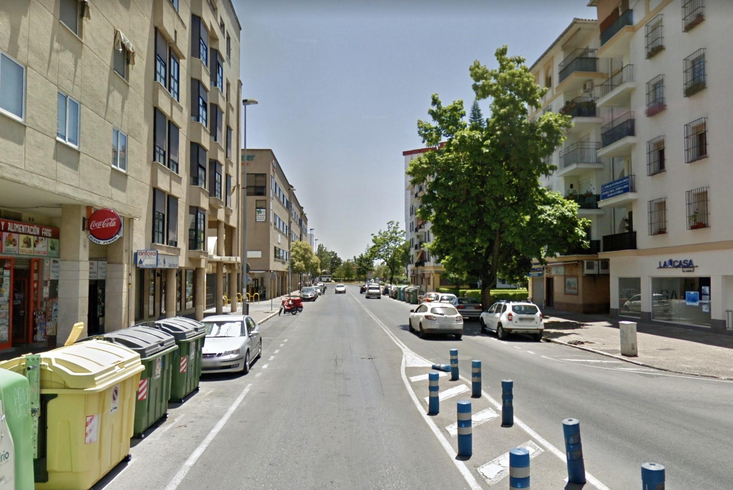 Pelayo pide al Ayuntamiento un plan que mejore "de una vez por todas" la seguridad en Avenida de Méjico