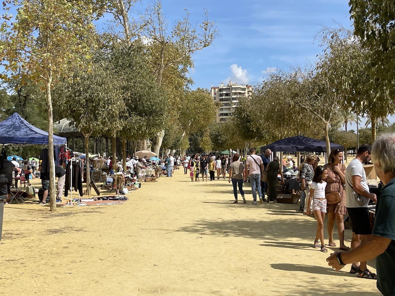 Suspendido este domingo día 11 el rastro en el Hontoria por lluvias