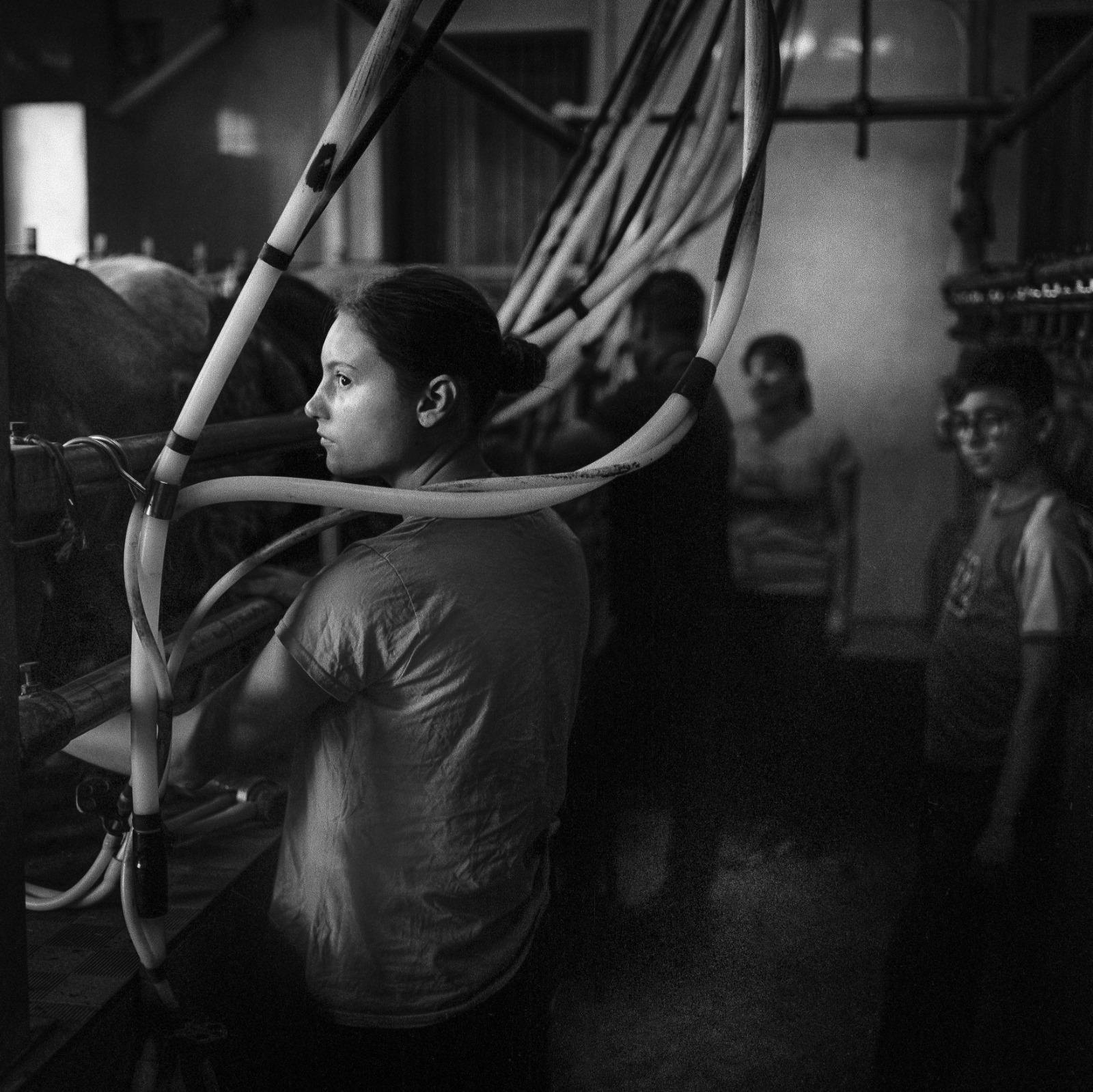 'Un ordeño en familia', ganadora del VI Concurso Fotográfico Medio Rural y Pesquero en Andalucía