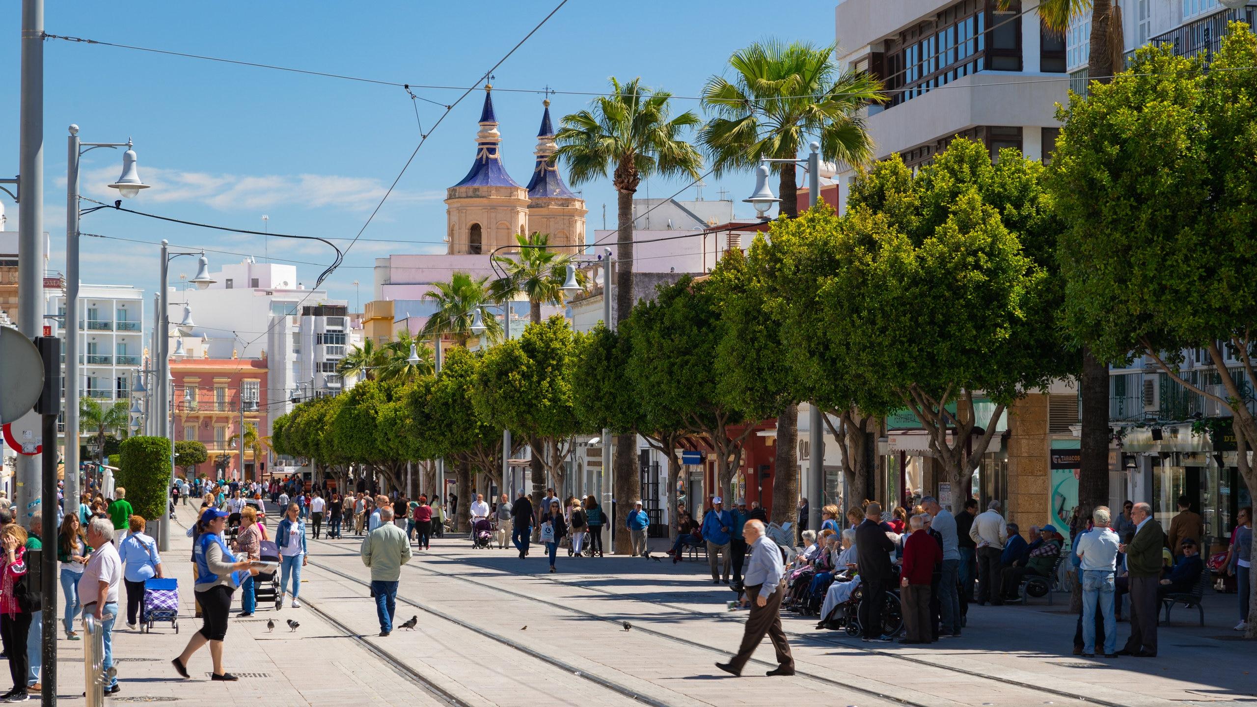 Nombramientos del Consejo de San Fernando