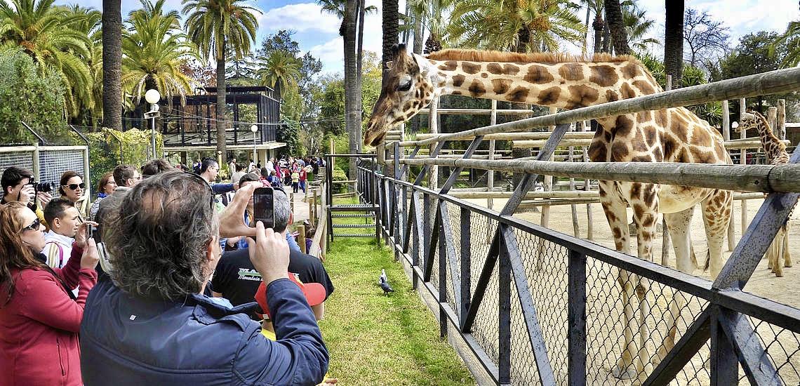 El Zoobotánico permanecerá abierto durante el puente de Andalucía