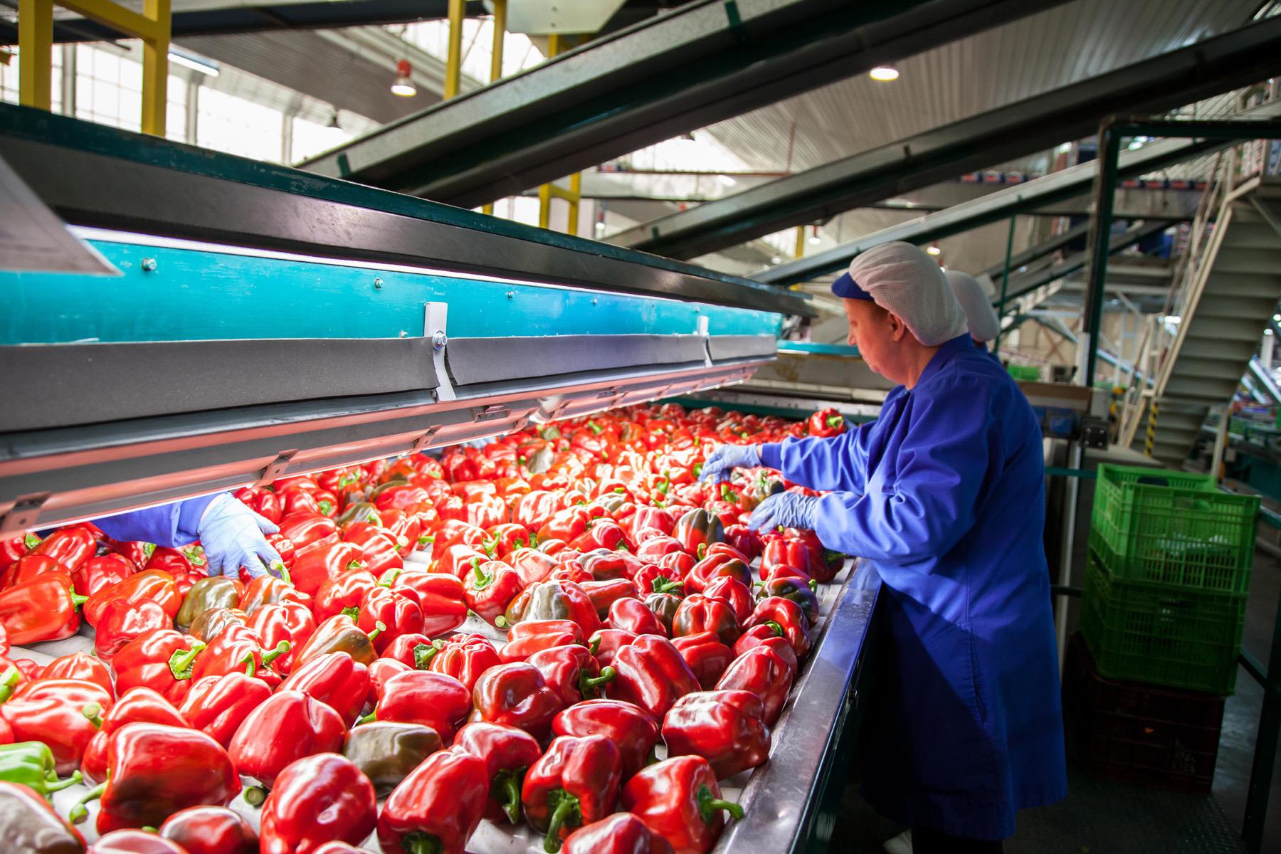 Andalucía bate récord en exportaciones agroalimentarias con un superávit de 7.040 millones de euros