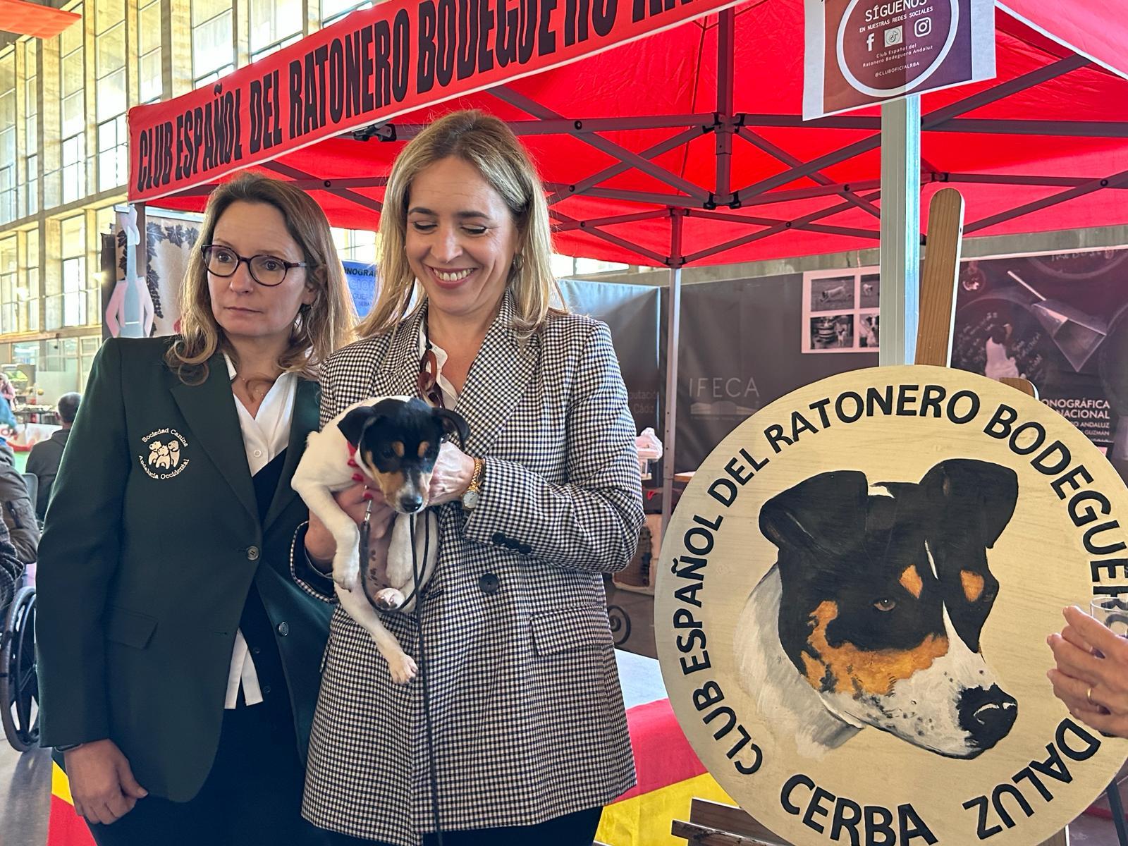 IFECA vuelve a acoger las exposiciones nacional e internacional caninas con 1.500 ejemplares y 120 razas a concurso
