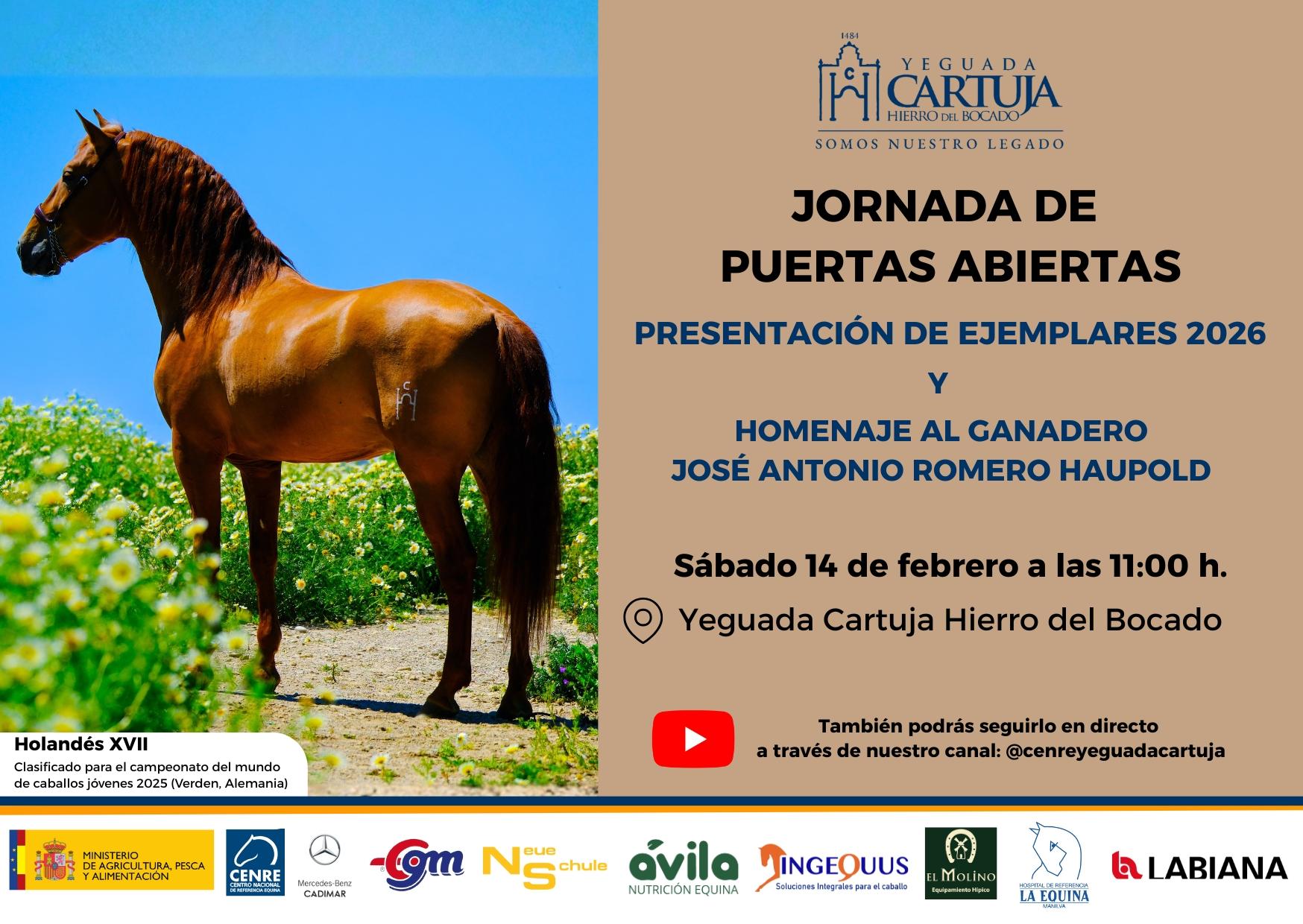 La Yeguada Cartuja Hierro del Bocado de Jerez celebra su V Jornada de Puertas Abiertas este 14 de febrero