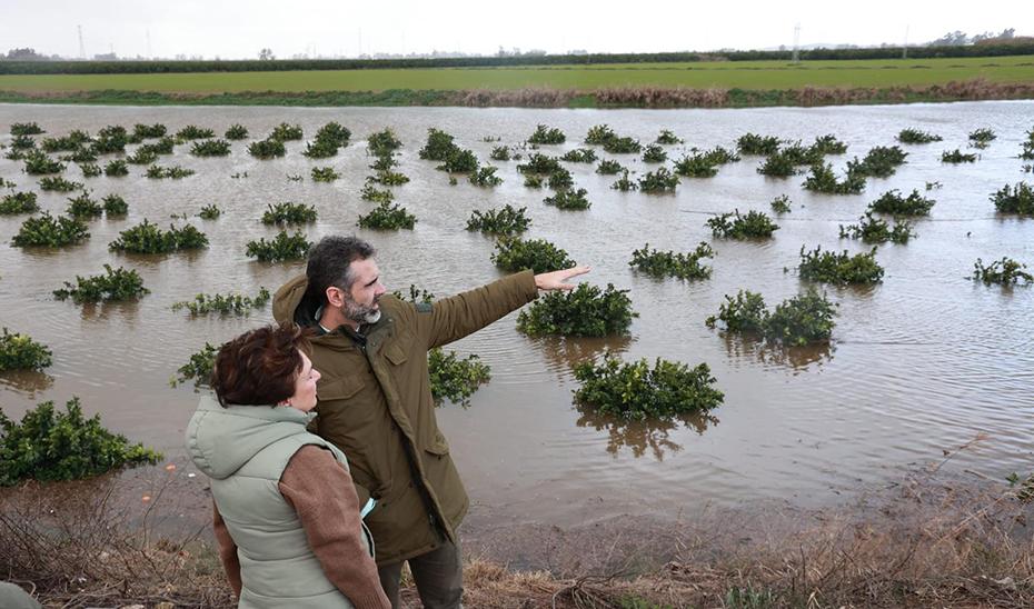 Andalucía solicitará la declaración de catástrofe natural a través del Comité de Gestión
