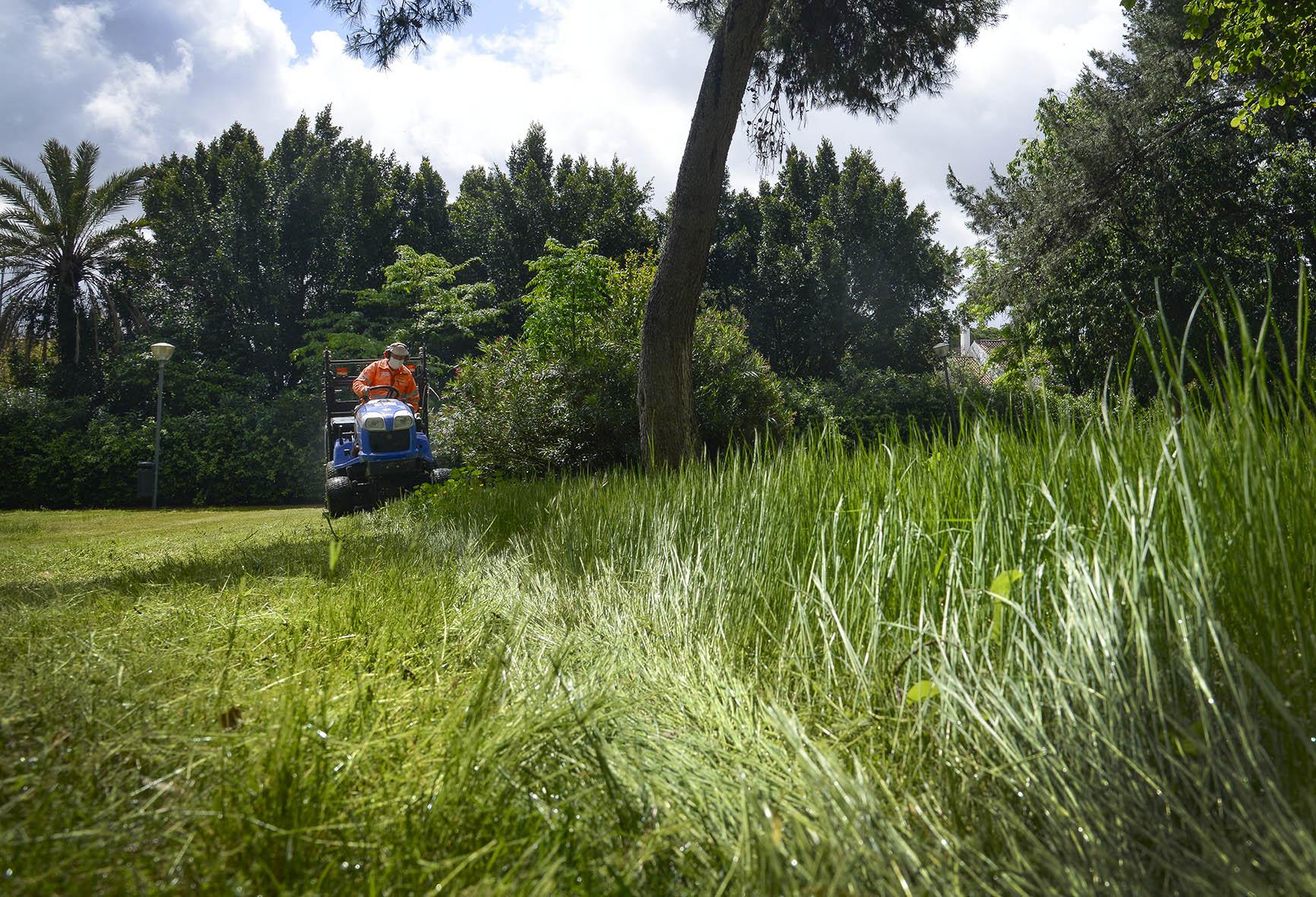 El Ayuntamiento cierra el Jardín Escénico y el parque Williams por riesgo de caída de ramas