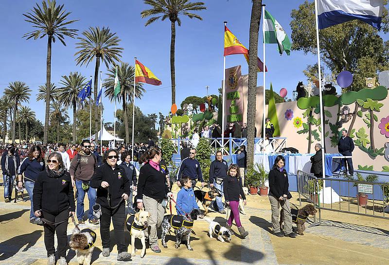 Suspendidas oficialmente las celebraciones de San Antón y Carnaval en Jerez a causa de la pandemia