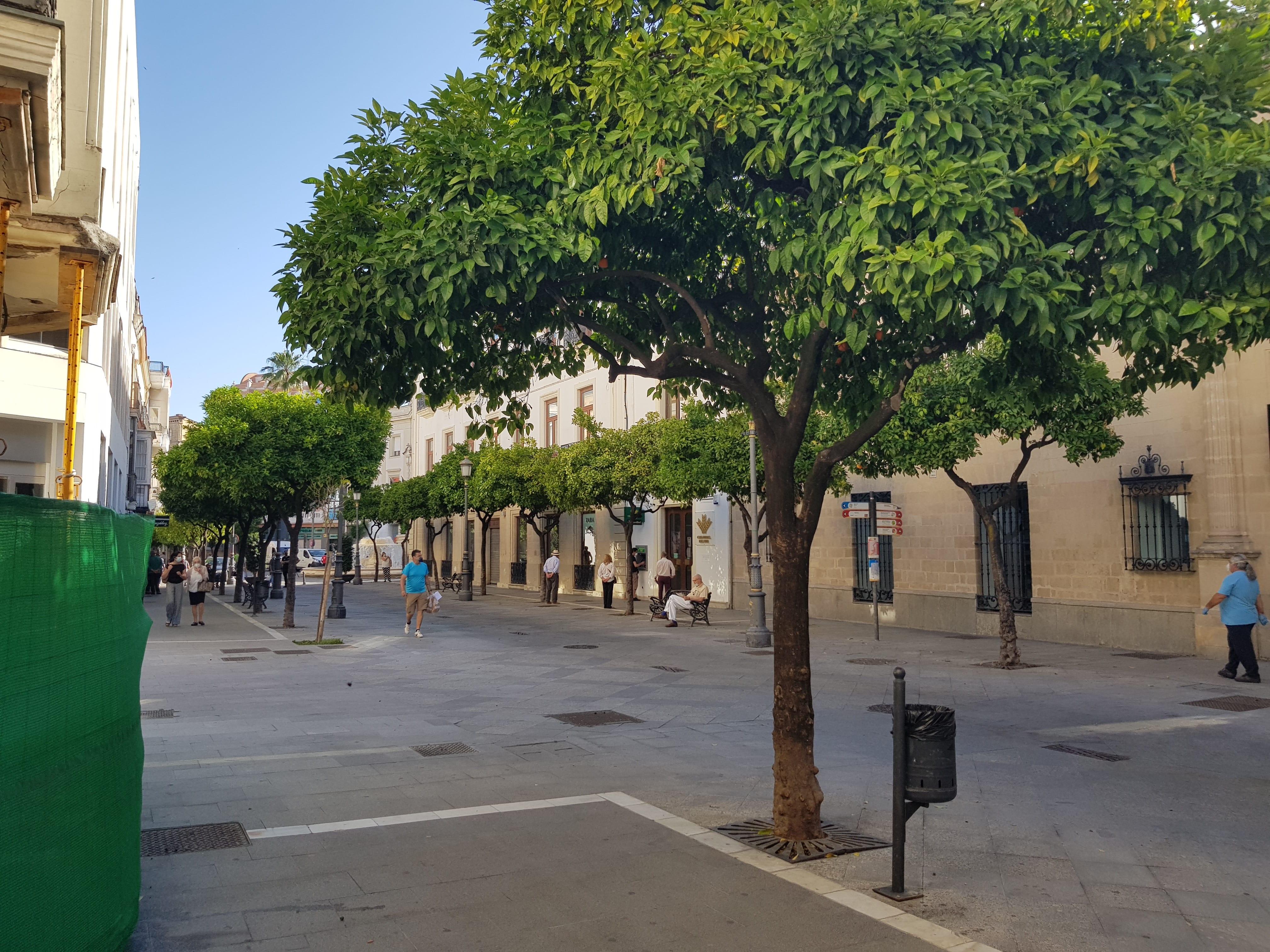 Vox considera que los jerezanos "no pueden resignarse a la decadencia de la ciudad”