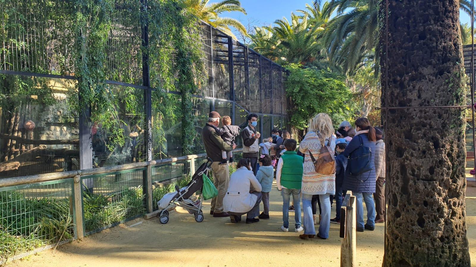 El Zoo de Jerez consigue en 2021 su segundo mejor registro anual de visitantes desde los últimos 8 años
