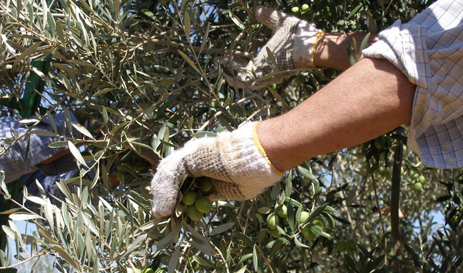 Andalucía lidera el descenso del paro en España en diciembre al descontar 22.280 desempleados