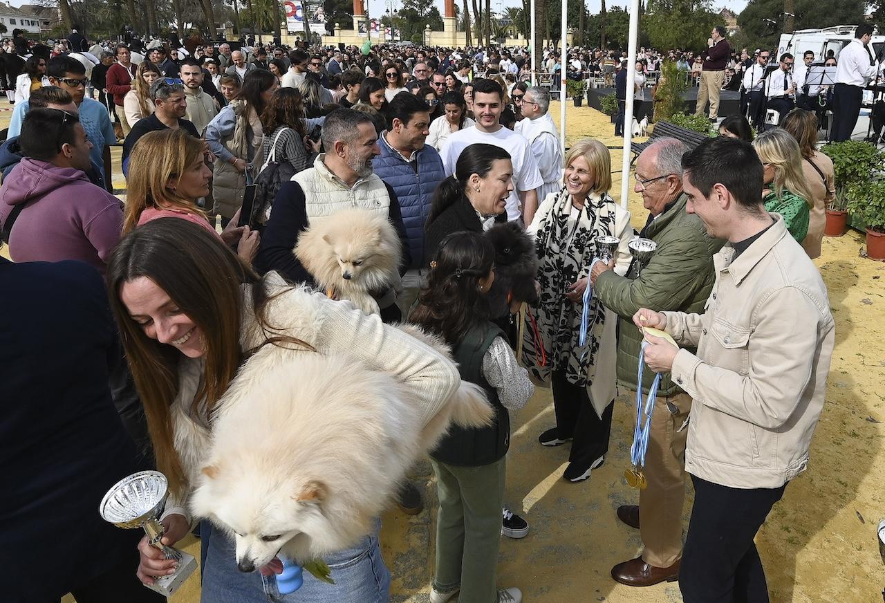 Jerez celebra con una magnífica jornada la festividad de San Antón en el Parque González Hontoria