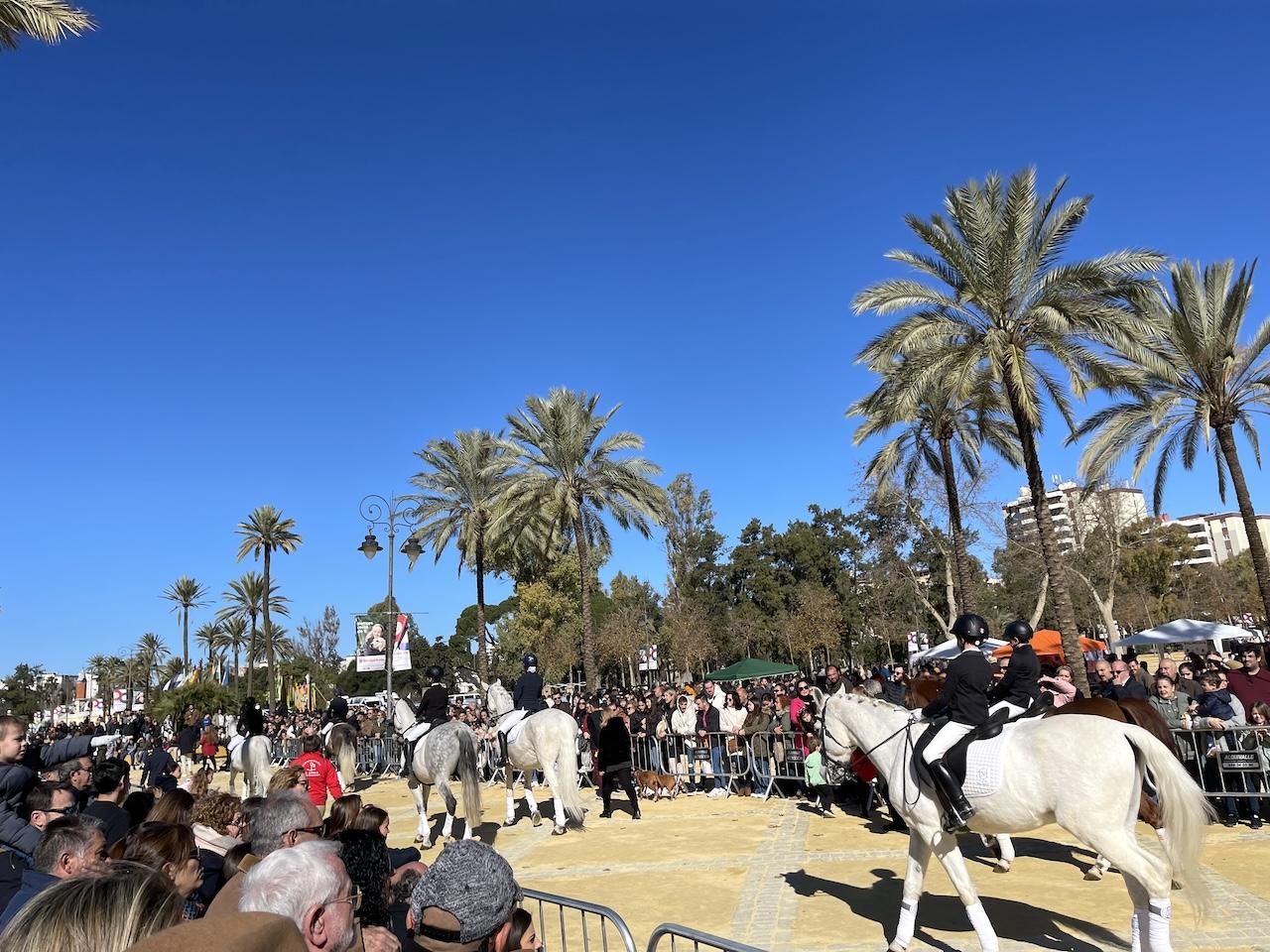 Este domingo, Fiesta de San Antón de Jerez en el Parque González Hontoria