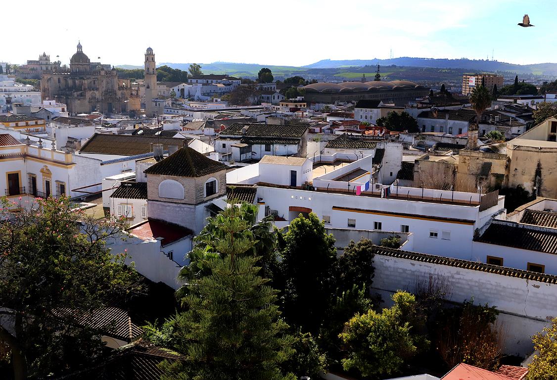 La ocupación hotelera creció en Jerez un 3,1% de enero a noviembre de 2024