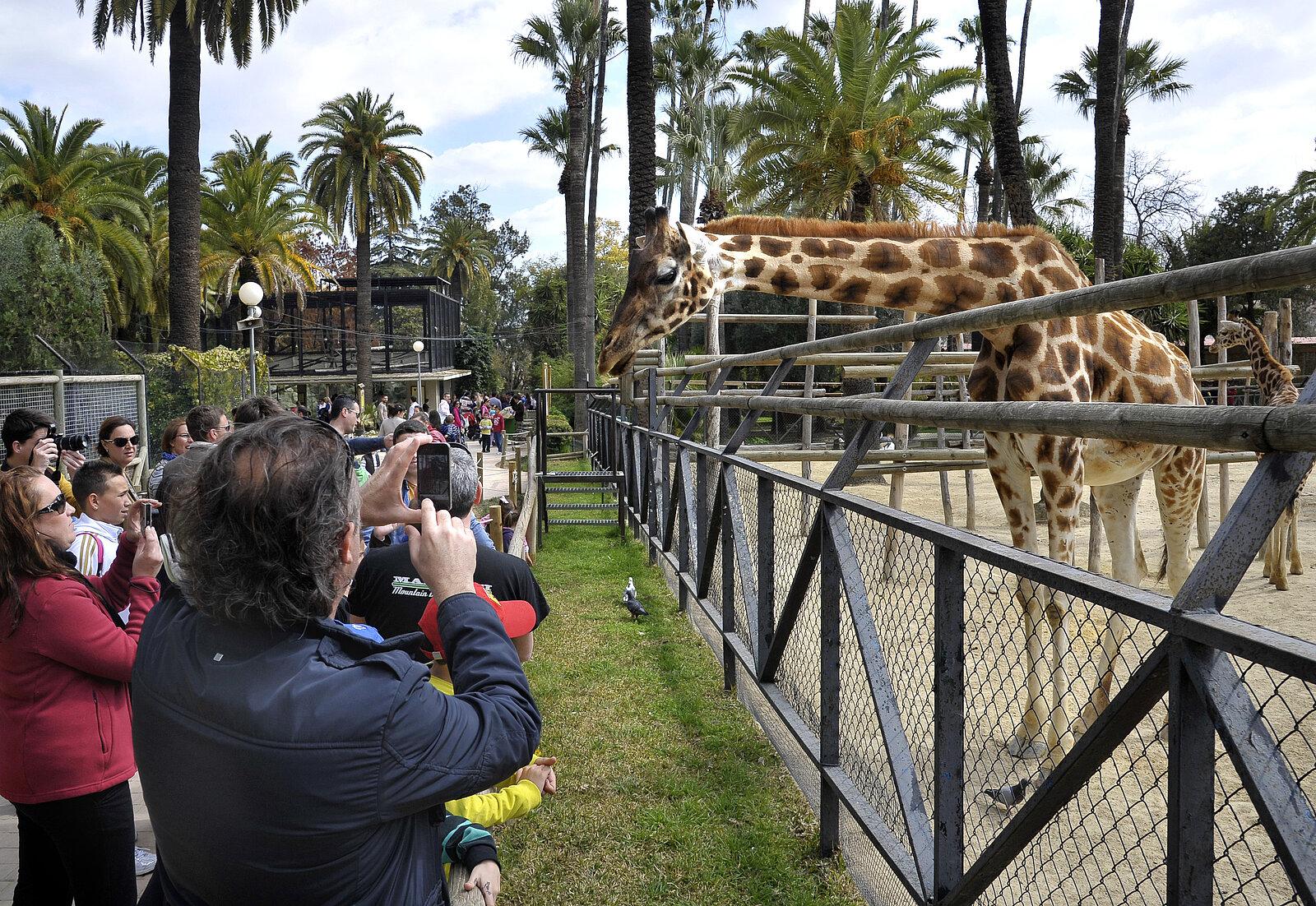 El Zoo de Jerez consigue la 'S' de Sostenibilidad Turística