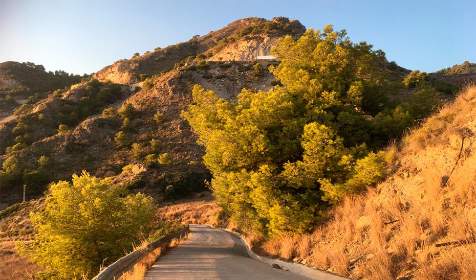 Andalucía en bicicleta: una aventura sostenible por sus espacios naturales protegidos