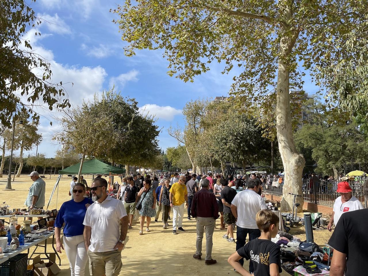 Suspendido este domingo 25 de enero el Rastro de Jerez por la lluvia