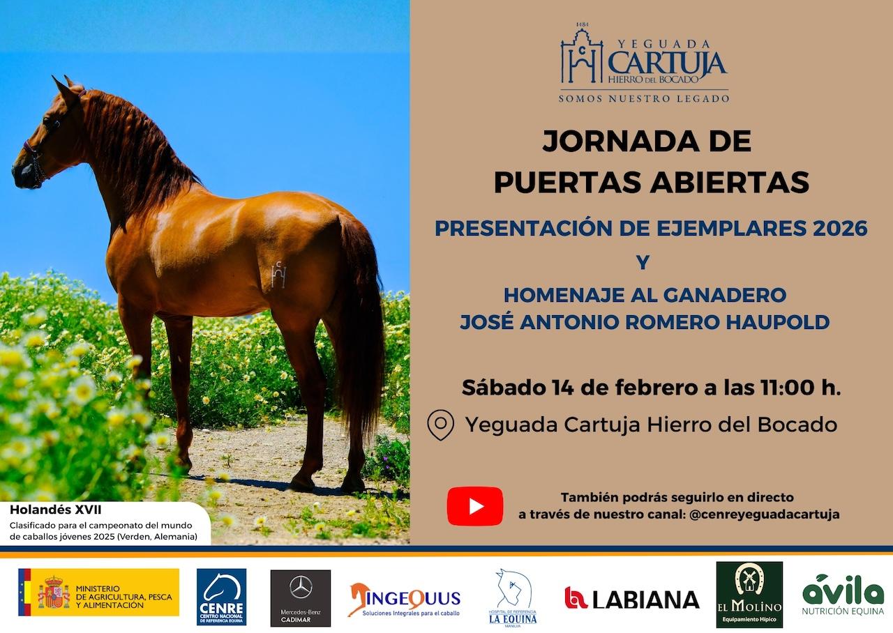 La Yeguada Cartuja Hierro del Bocado de Jerez celebrará la IV Jornada de Puertas Abiertas el próximo 14 de febrero