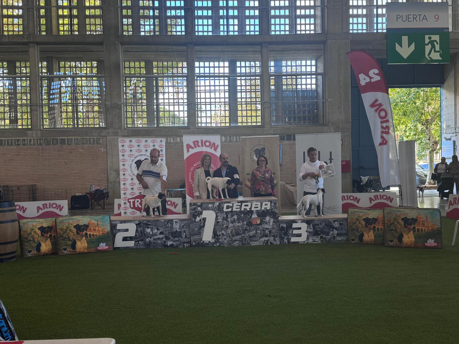 El Club Español del Ratonero Bodeguero Andaluz (CERBA) ya prepara con el Ayuntamiento de Jerez las próximas Fiestas de la Vendimia