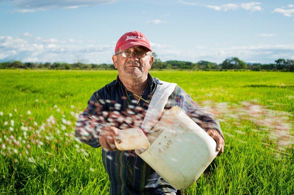 El PP denuncia el "injusto" recorte de la PAC para agricultores y ganaderos