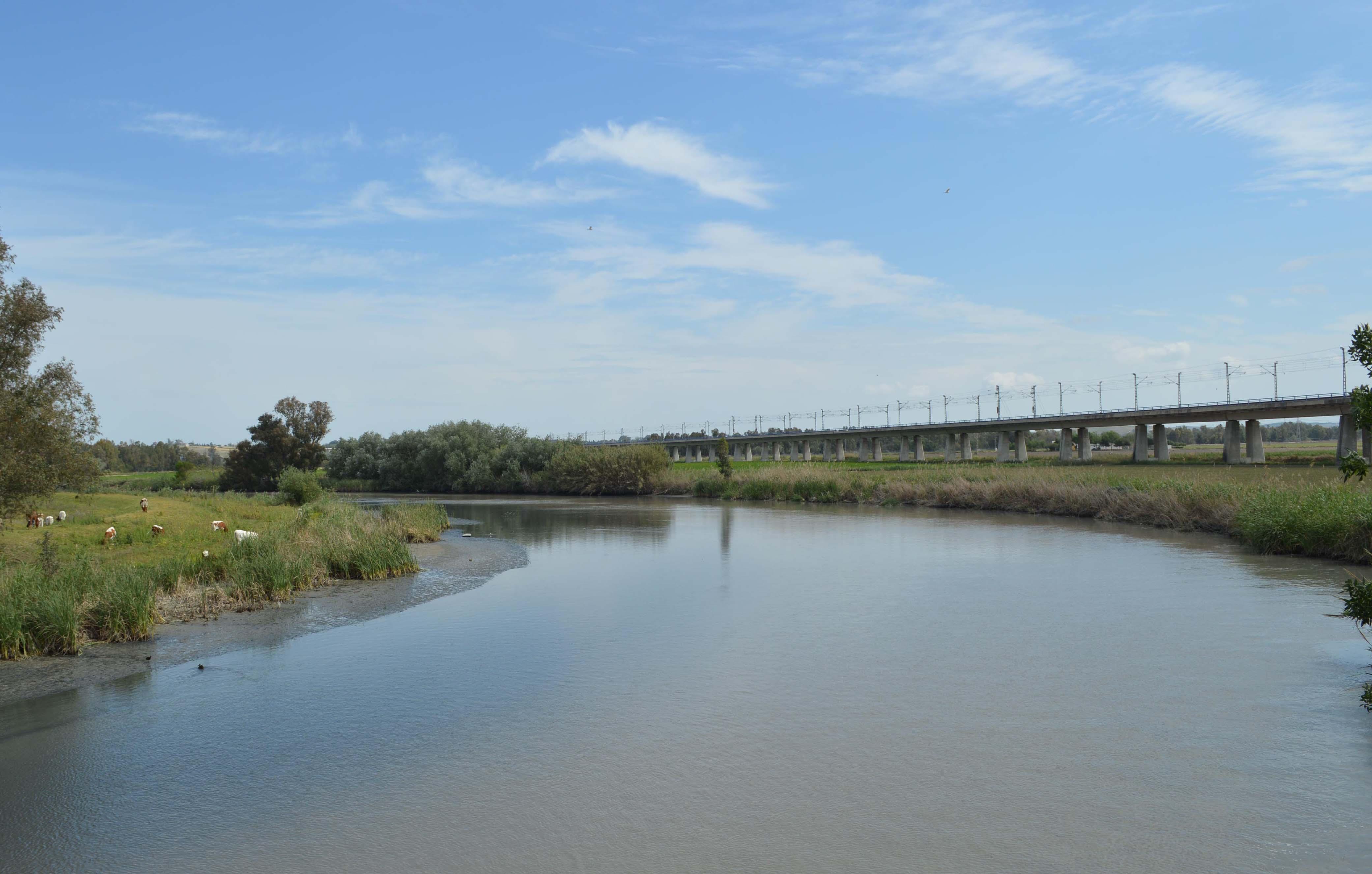 La Junta aprueba provisionalmente el Plan Especial Supramunicipal del río Guadalete en Jerez y El Puerto