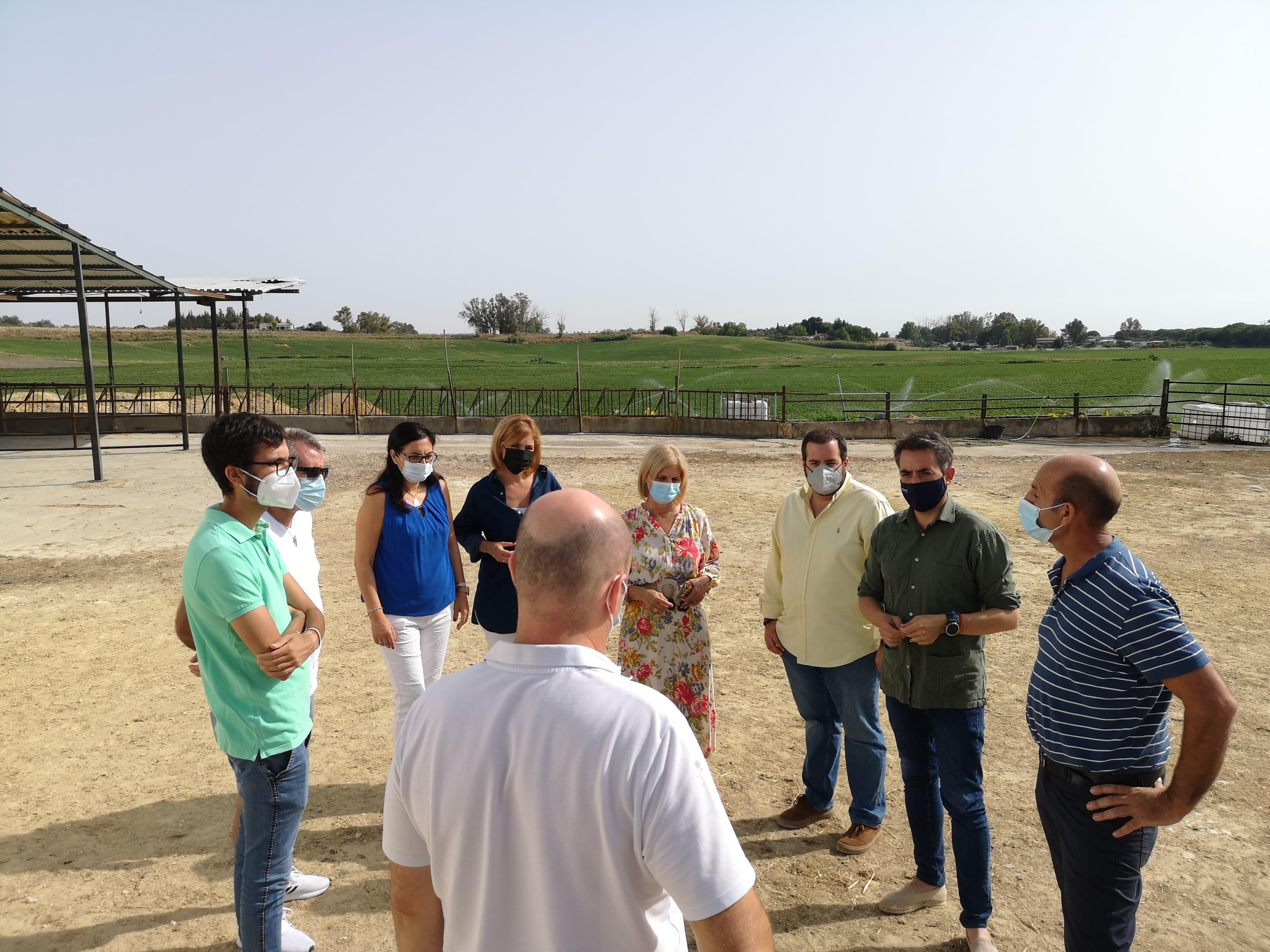 El PP plantea una Junta Local de Seguridad centrada en los problemas del Jerez rural