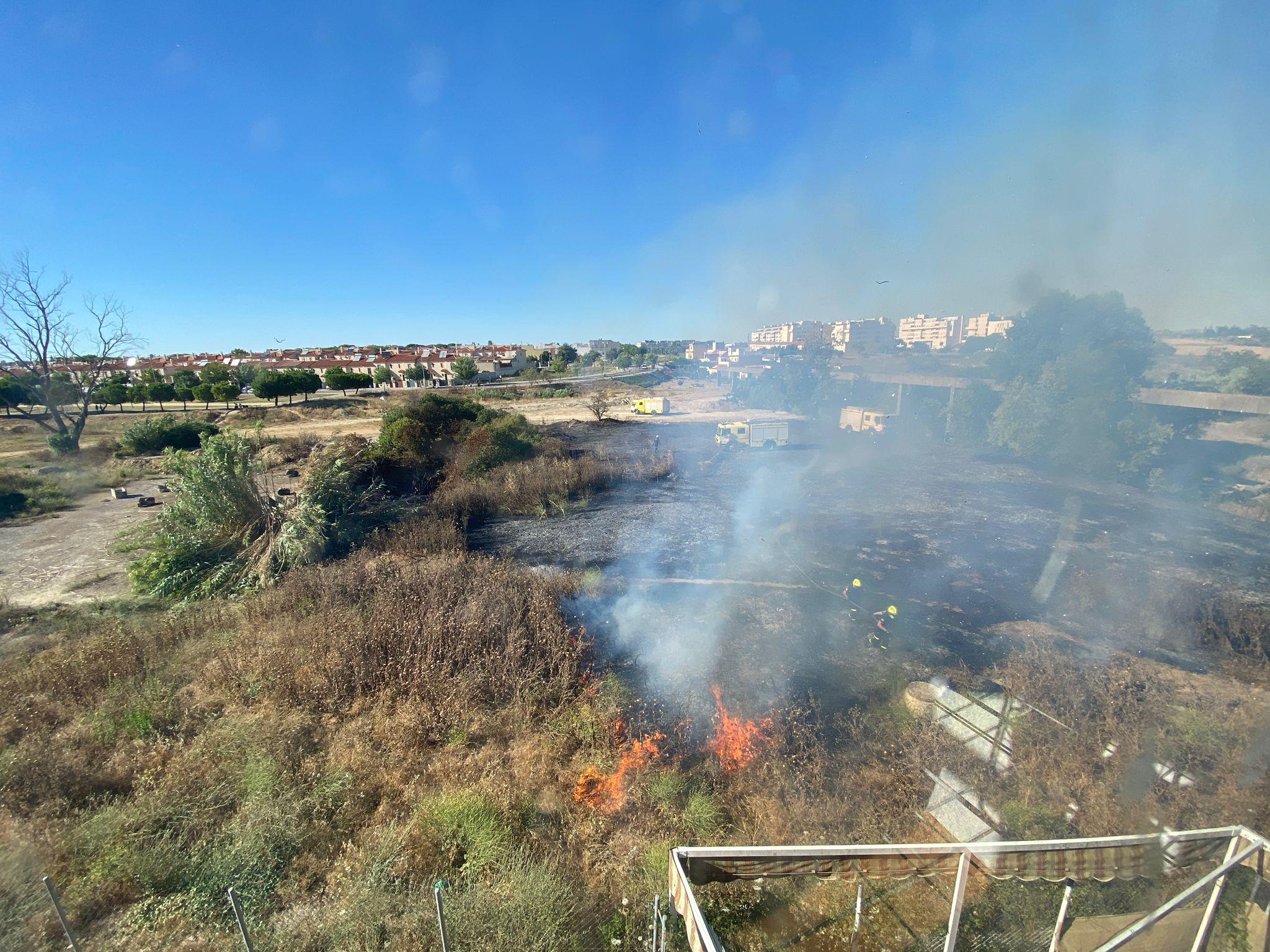 El PP lamenta la pasividad municipal ante los continuos incendios en el Parque de La Canaleja