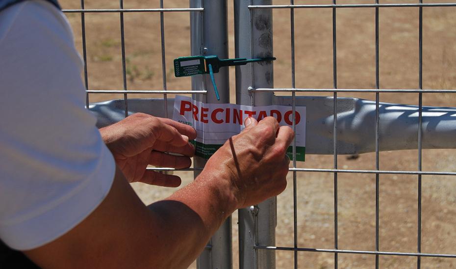 La Junta precinta 35 parcelas ilegales en La Línea de la Concepción y Arcos de la Frontera