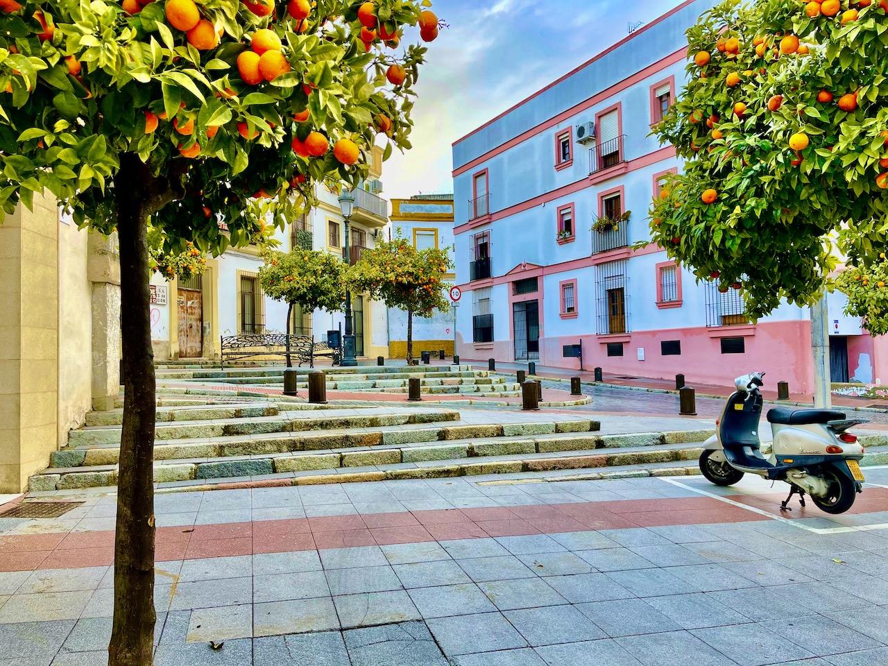 Adelante Andalucía Jerez propone medidas de carácter urgente ante las olas de calor