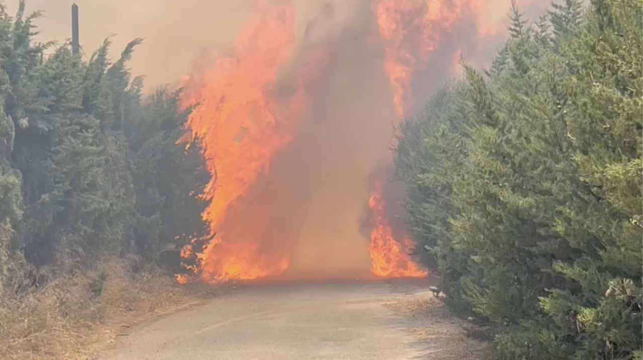 Un incendio entre Lomopardo y La Cartuja obliga a desalojar casas y cubre Jerez de humo y cenizas