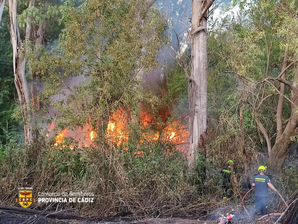 El PP de Jerez pide una Junta de Portavoces para informar sobre el incendio y coordinar la ayuda a los afectados