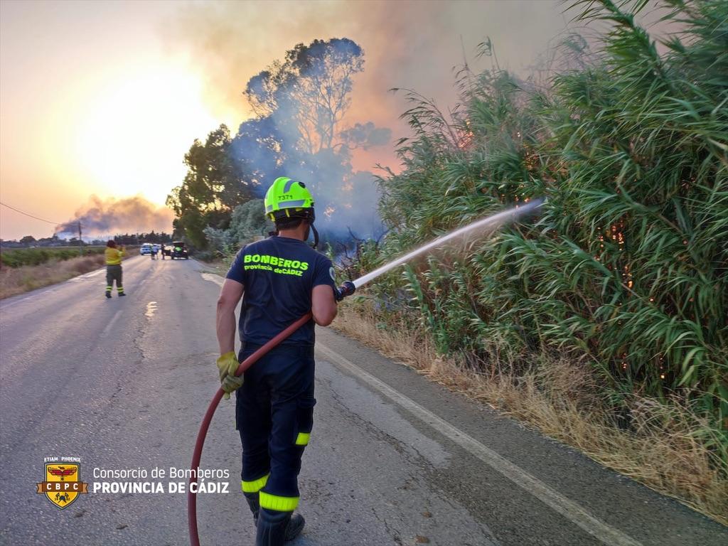 Alrededor de 800 hectáreas se han visto afectadas por el incendio de este miércoles en Jerez