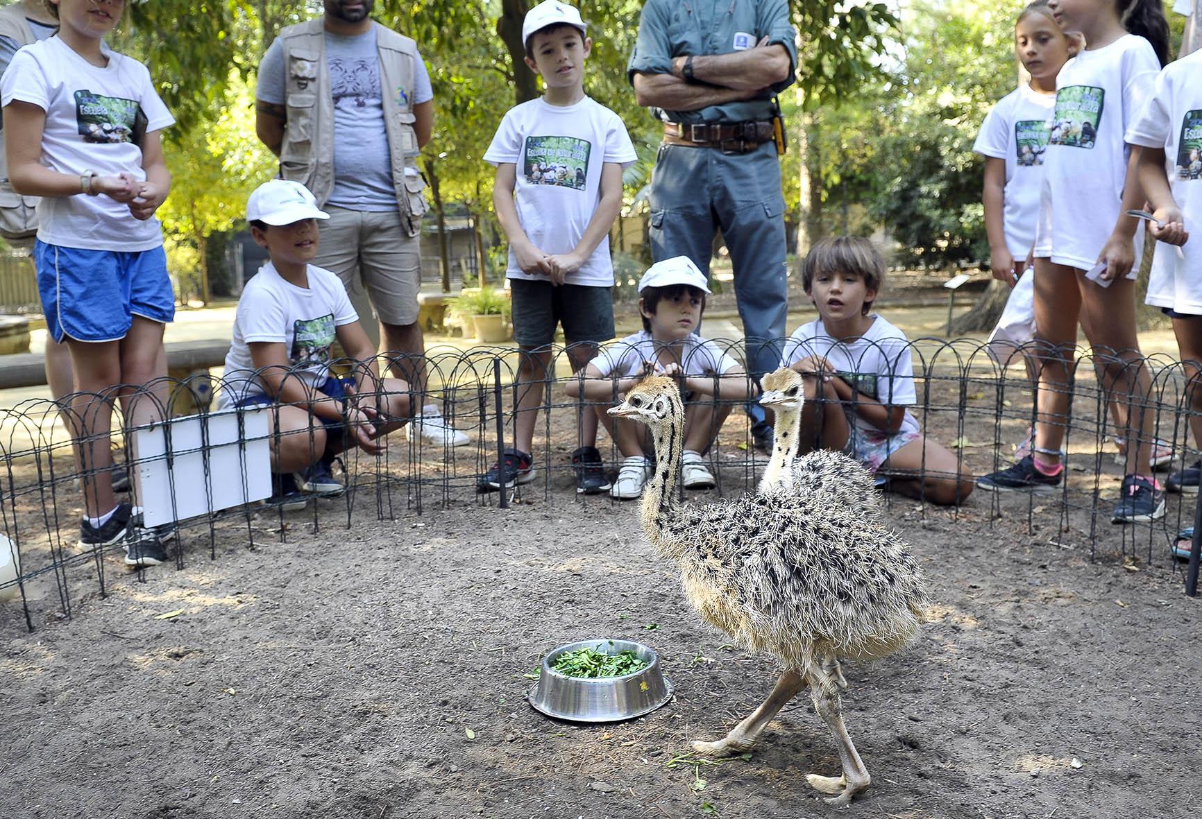 Más de un centenar de niños participarán en la Escuela de Naturaleza del Zoobotánico Jerez