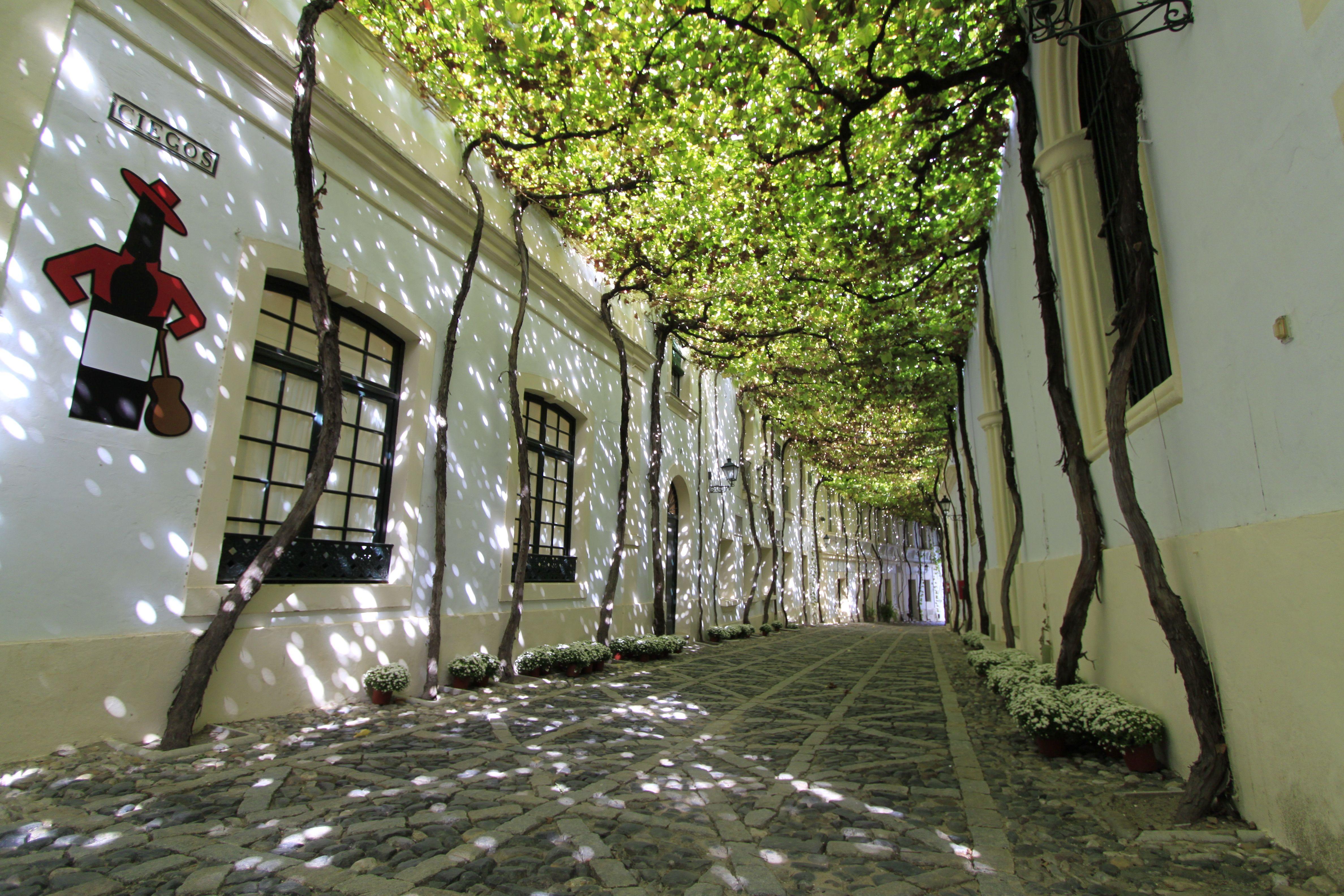 La calle Ciegos de Jerez, entre las más bonitas del mundo según Getagent