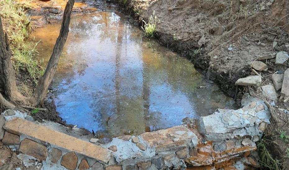 Andalucía planifica medidas de emergencia para contar con una red de puntos de agua para la fauna